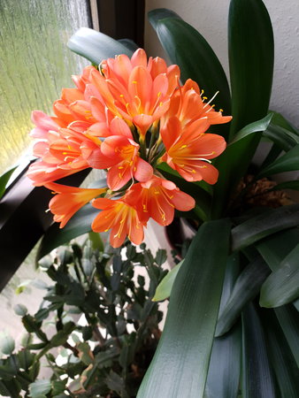 20200613_091406.jpg