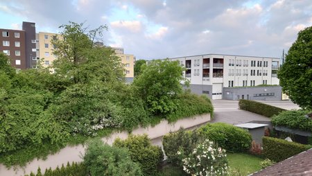20210528_062259.JPG