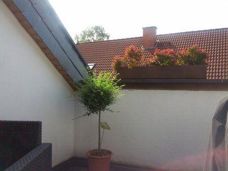 IMG_20120722_102913.jpg