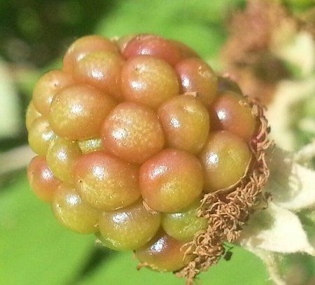 20120722_163632-1.jpg