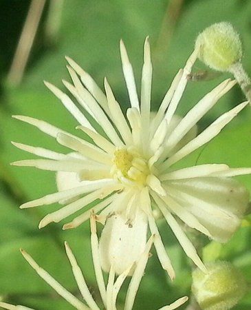 20120722_163705-1.jpg