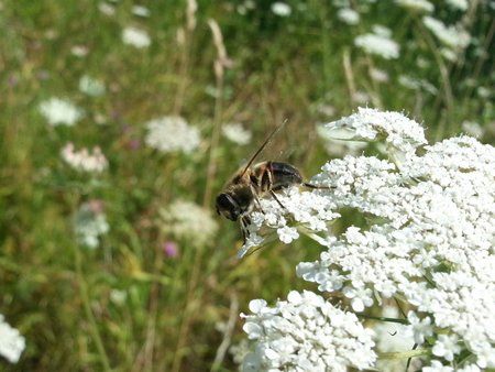 20120724_134133.jpg