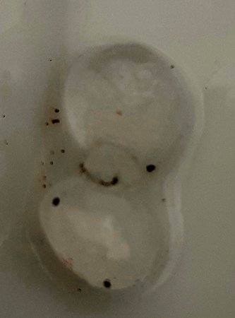 20210529_194358.jpg