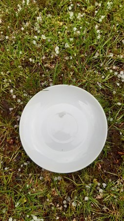 20210528_165540.jpg