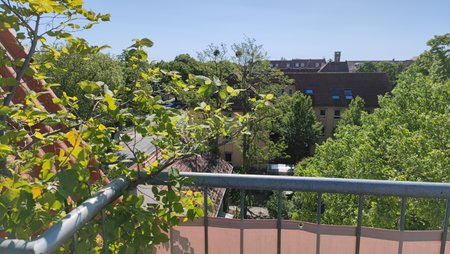 IMG_20210530_093045.jpg