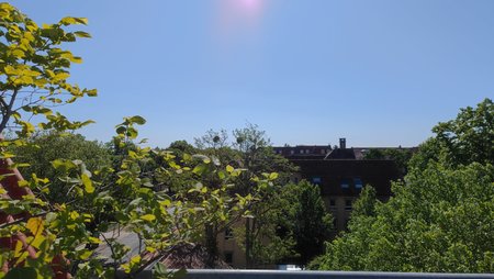 IMG_20210530_093049.jpg