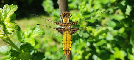 IMG_20210530_132846.jpg