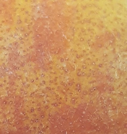 20210530_220239.jpg