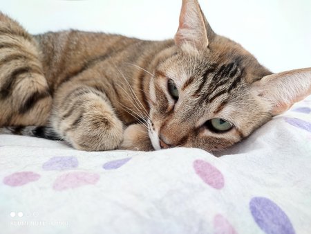 IMG_20210530_110807.jpg