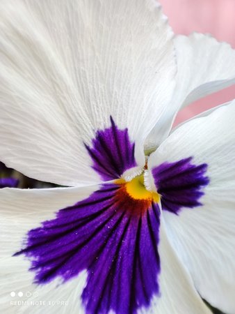 IMG_20210531_092316.jpg