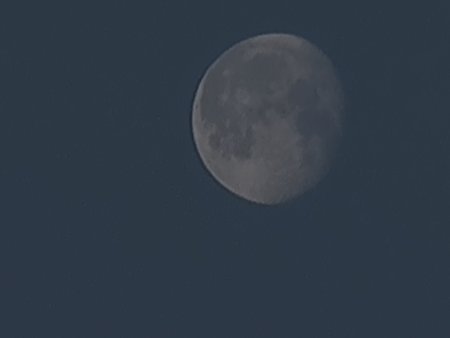 IMG_20210529_053407.jpg