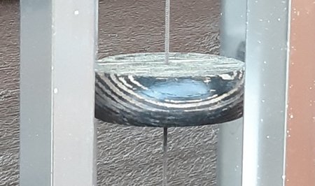 20210602_195531.jpg
