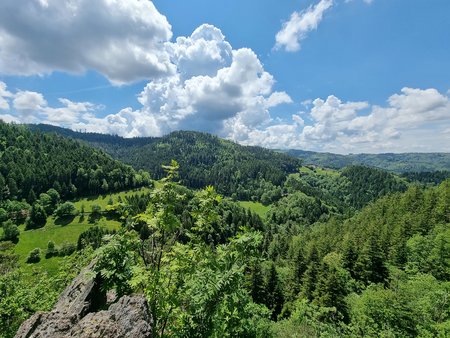 20210603_130413.jpg