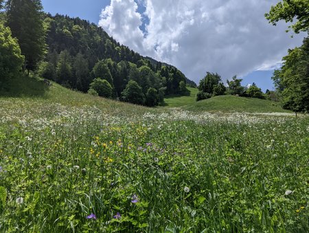 PXL_20210604_121455274.jpg