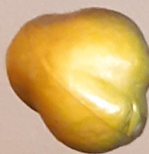 20210604_145315.jpg