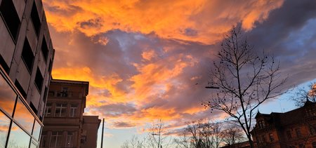 20210315_182600snappy.jpg