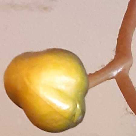 20210604_181857.jpg