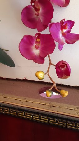 20210604_145148.jpg