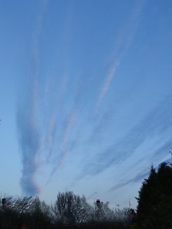 IMG_20210426_061822.jpg