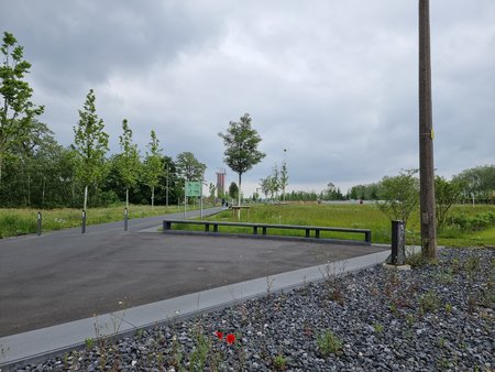 20210606_160255.jpg