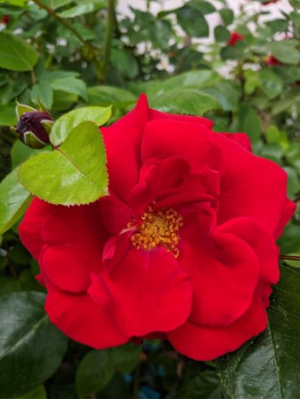 IMG_20210607_135906.jpg