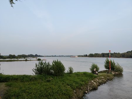 IMG_20210609_210149.jpg