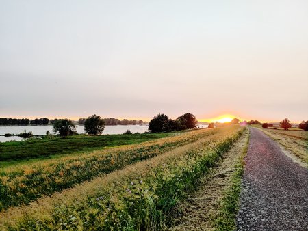 IMG_20210609_214058.jpg