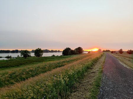 IMG_20210609_213953.jpg