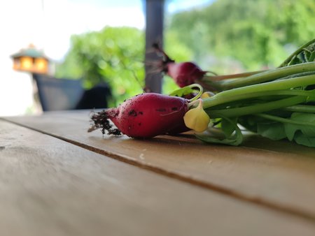 IMG_20210610_164710.jpg