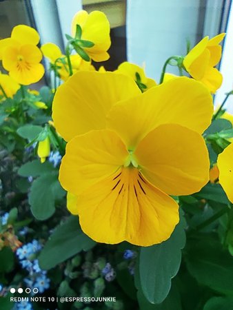 IMG_20210611_063437.jpg