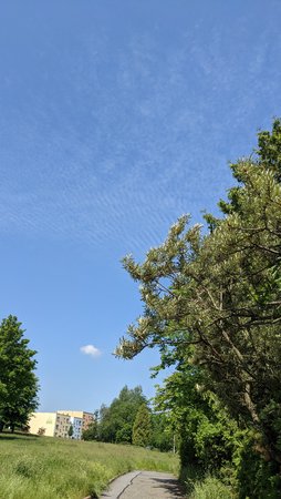 PXL_20210611_085854121.jpg
