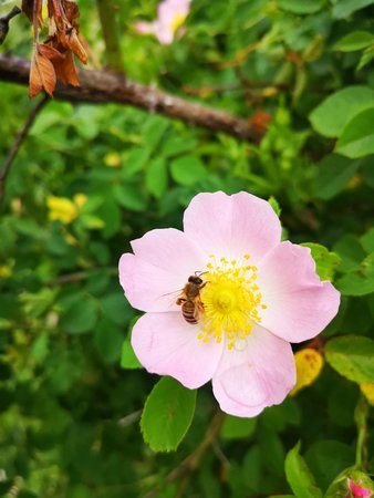 IMG_20210606_145603.jpg