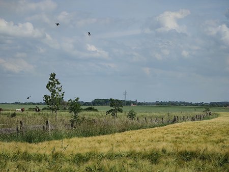 IMG_20210612_151117.jpg