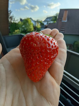 IMG_20210612_2012281.jpg