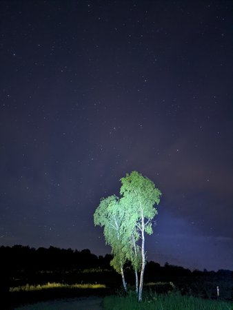 PXL_20210611_215815656.NIGHT.jpg