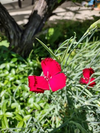 IMG_20210614_143954967_HDR.jpg