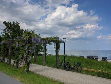 IMG_20210609_155604.jpg