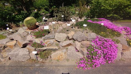 DSC_0001 (4).JPG