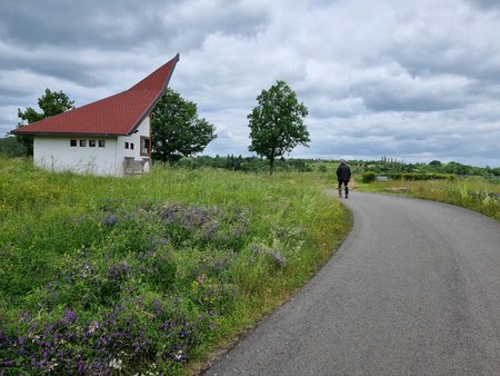 20210613_124716.jpg