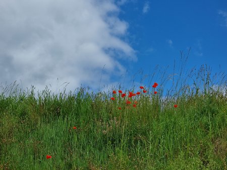 20210613_121558.jpg