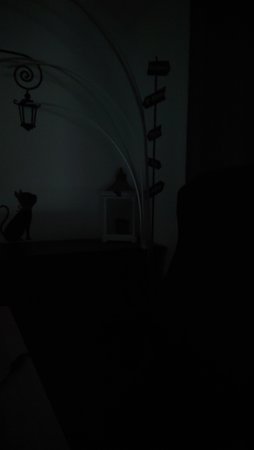 DSC_3949.JPG