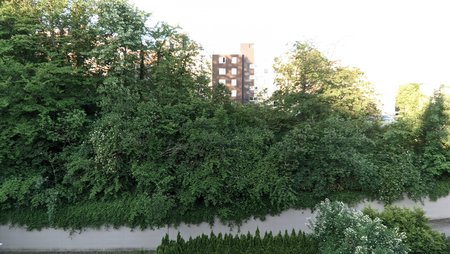 PXL_20210617_063143282.jpg