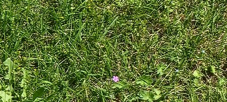 20210617_115250.jpg