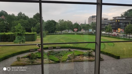 IMG_20210618_161318.jpg