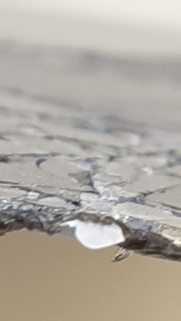 20210618_165607.jpg