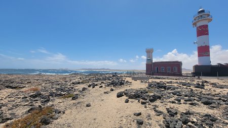 20210618_131016.jpg
