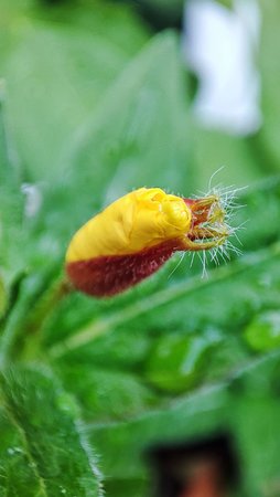 IMG_20210617_203013.jpg