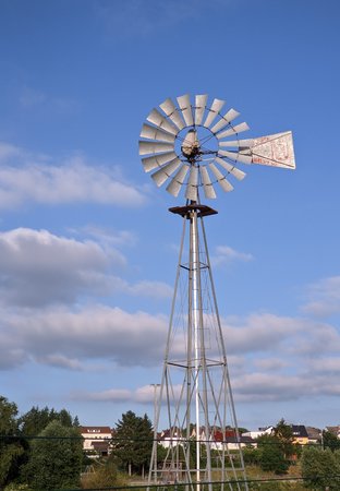 PXL_20210621_173110096.jpg