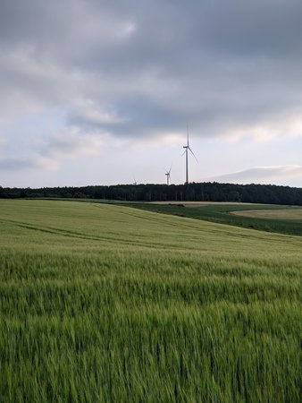 PXL_20210621_175324984.jpg