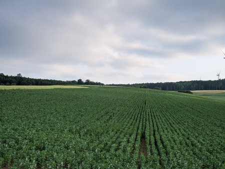 PXL_20210621_175447591.jpg